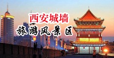 老司机综合网中国陕西-西安城墙旅游风景区